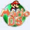 Mario DS