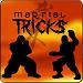  gioco flash Martial Tricks gratis